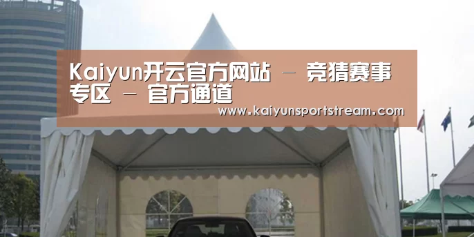 案例标题八