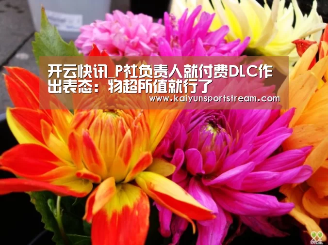 开云快讯_P社负责人就付费DLC作出表态:物超所值就行了(图3) 开云快讯