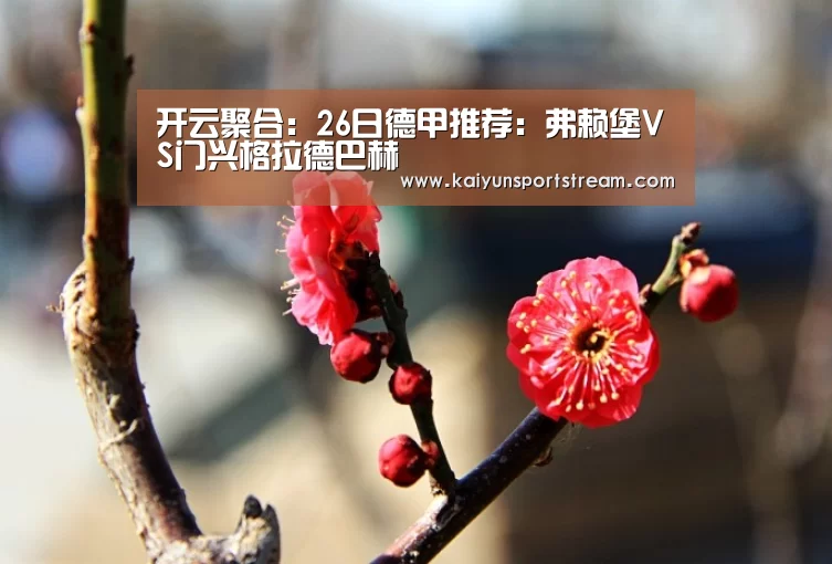 开云体育